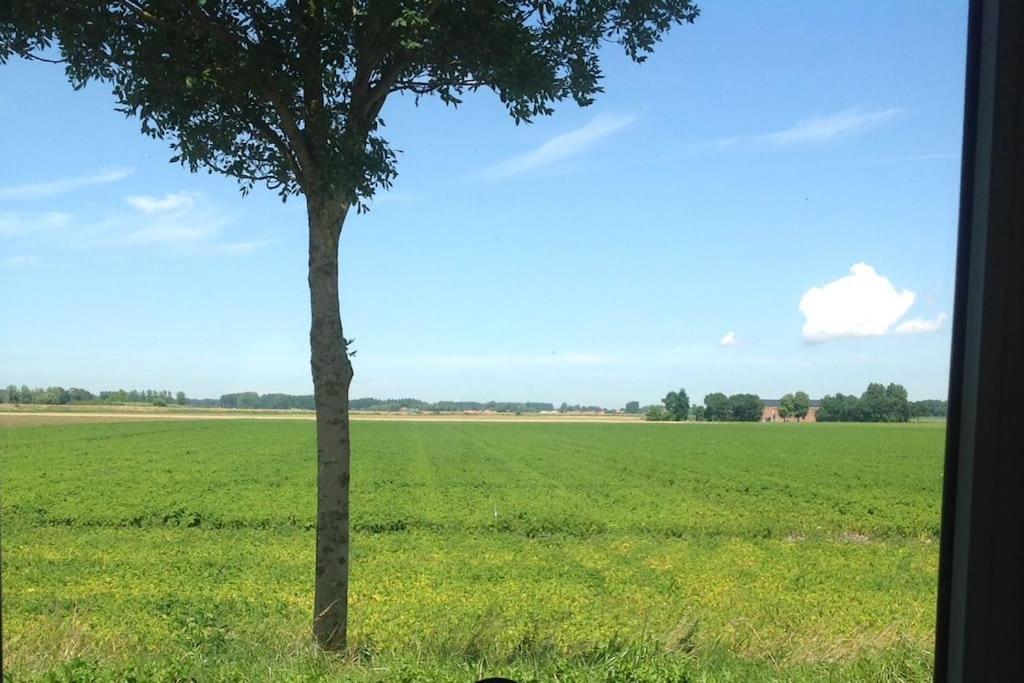 Dijkhuisje Zeeland Waterlandkerkje Екстер'єр фото