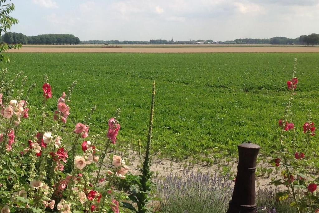 Dijkhuisje Zeeland Waterlandkerkje Екстер'єр фото